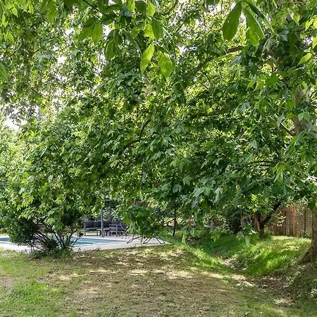 L'oasis De La Ferme Bordeneuve * Castanet-Tolosan