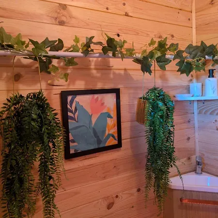 L'oasis De La Ferme Bordeneuve * Castanet-Tolosan